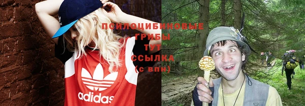 дживик Балабаново