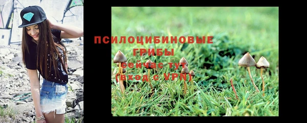 дживик Балабаново