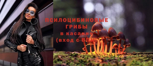 стафф Балахна